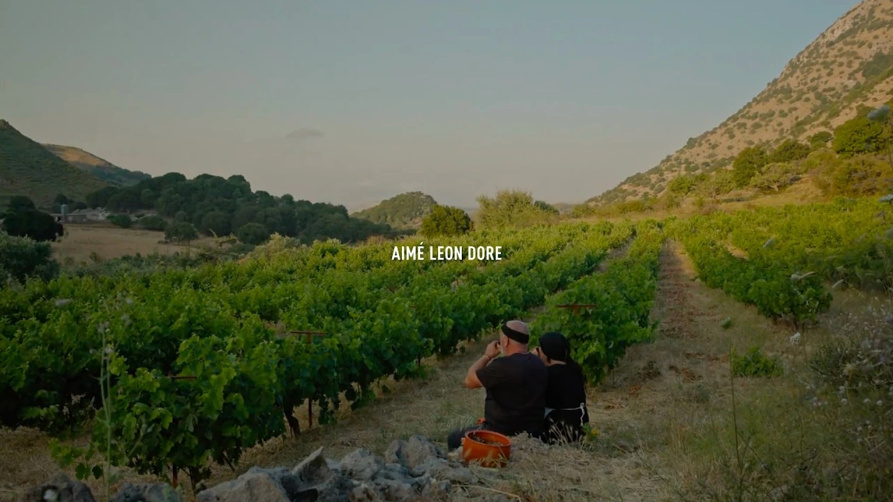 Image officielle du film Summer '26 in Crete d'Aimé Leon Dore : deux personnes assises entre les vignes, face à la vallée.